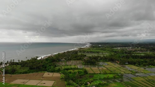 Aerial View With Rice Fields and Palm Trees on a Gloomy Day in Bali, Indonesia
