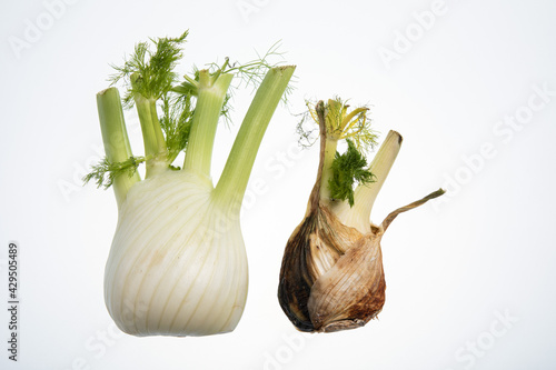 Slika na platnu Fresh and rotting fennel bulbs isolated on white background