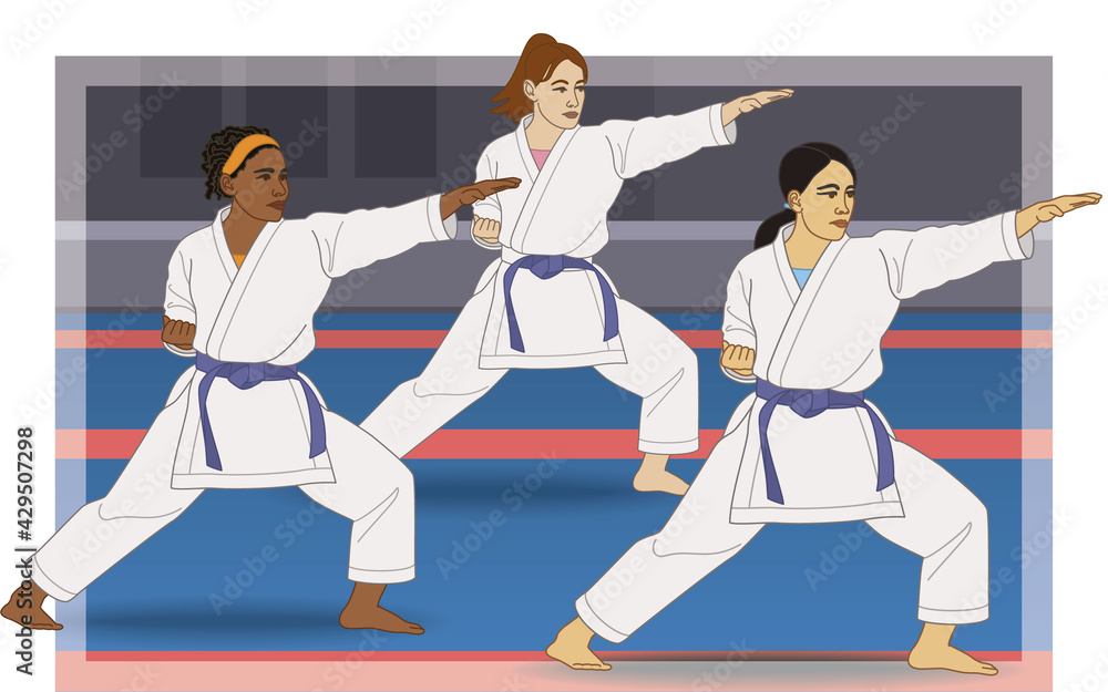 karate three females cultural diversity in kata stance standing on mat with dojo in the background karate three females cultural diversity in kata stance standing on mat with dojo in the background