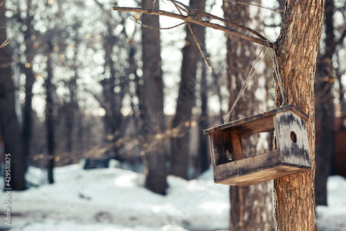 Bird house in the spring forest. Selective focus
