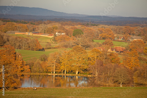 Fényképezés Beautiful view of a landscape with a lake surrounded by trees and grees in autum