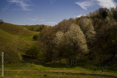 Green hills in Serbia, Banat district, Zagajica photo