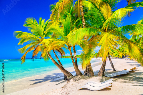 Coconut palm trees with sunloungers on the caribbean tropical beach. Saona Island  Dominican Republic. Vacation travel background