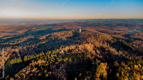 Vászonkép Aerial view of temperate broadleaf and mixed forests at fall