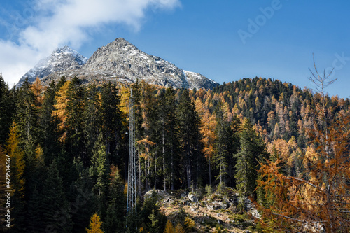 Staller Sattel, Stallersattel, Nationalpark, Hohe Tauern, Herbst, Defereggen, Defereggental, Ostalpen, Zentralalpen, Gipfel, Schnee, Eis, Gletscher, Wald, Schutzwald, steil, schroff, verfärbt, Laubwal photo