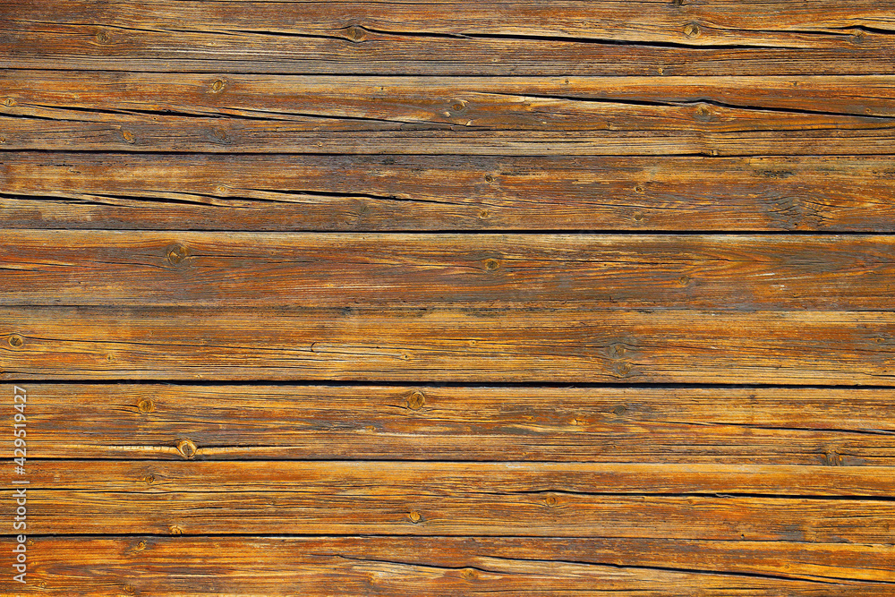 wood tree timber background texture structure backdrop wood tree timber background texture structure backdrop