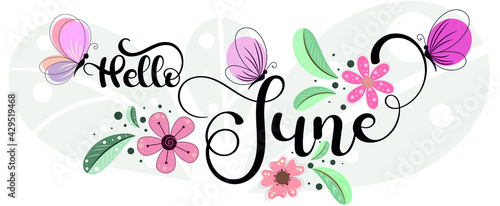 Hello June. JUNE month hand lettering vector with flowers and leaves. Decoration floral. Illustration month June