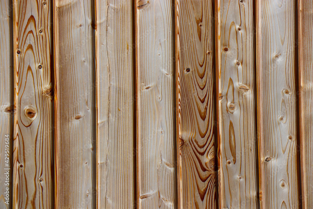 wood tree timber background texture structure backdrop wood tree timber background texture structure backdrop