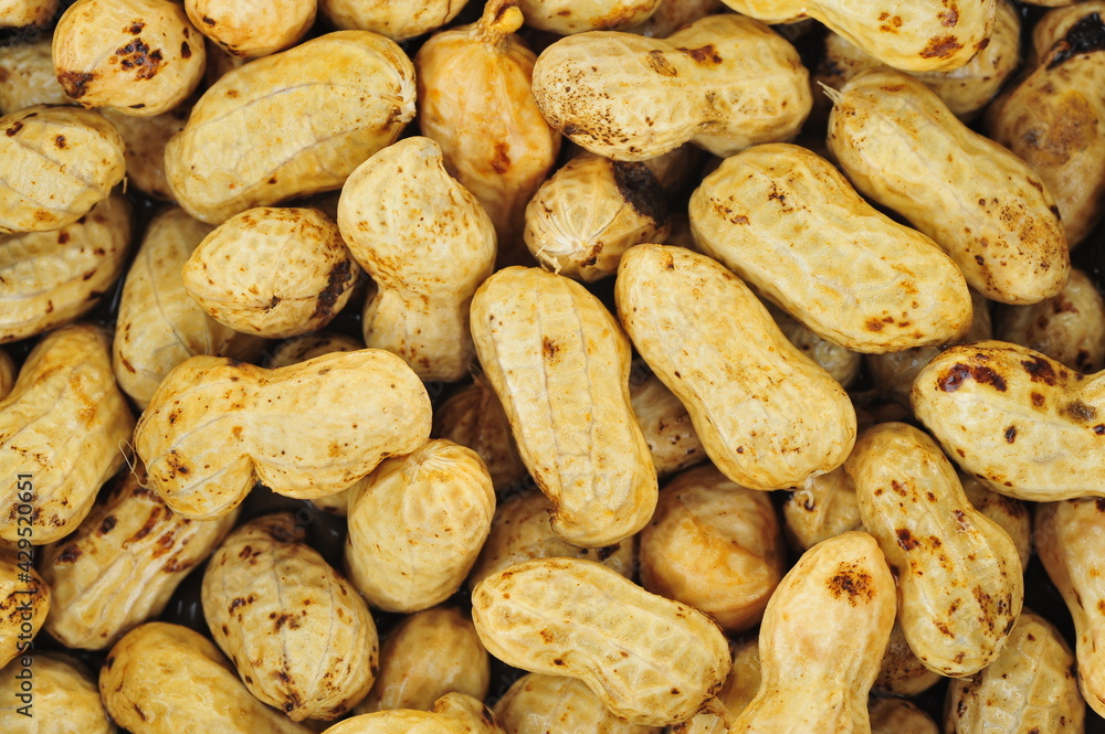peanut peanut
