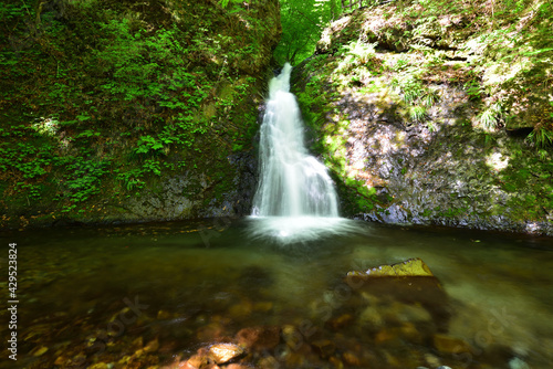 Beautiful waterfall in a green forest