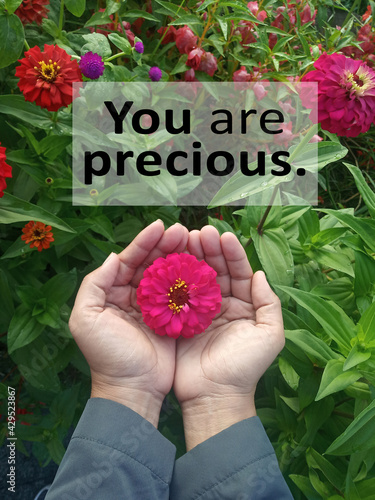 Картината върху платно Inspirational quote - You are precious