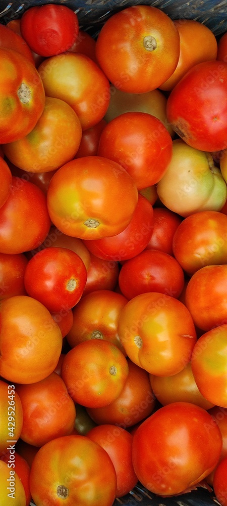 tomatoes in market