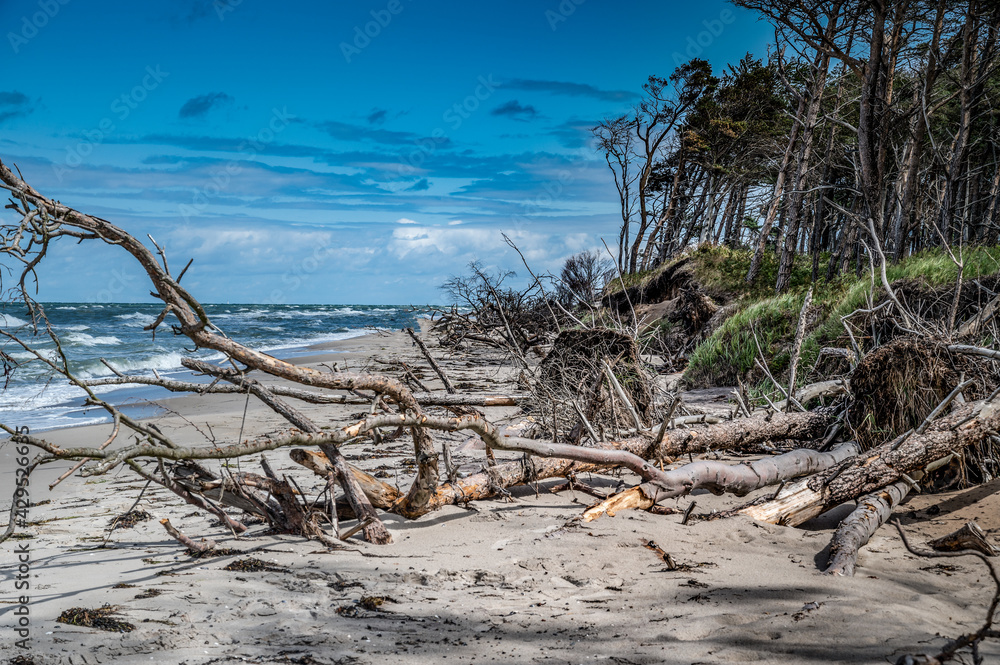 untouched  sand beach