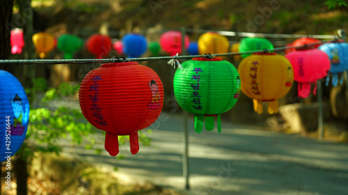 Daegu   Korea-April-20-2021 Lotus lanterns hung in Korean temples to celebrate Buddha s birthday