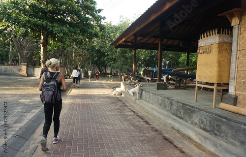A woman walking around Kuta Beach Bali and playing with the doga.
