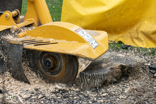 stump grinder cutting tree stump into wood chips