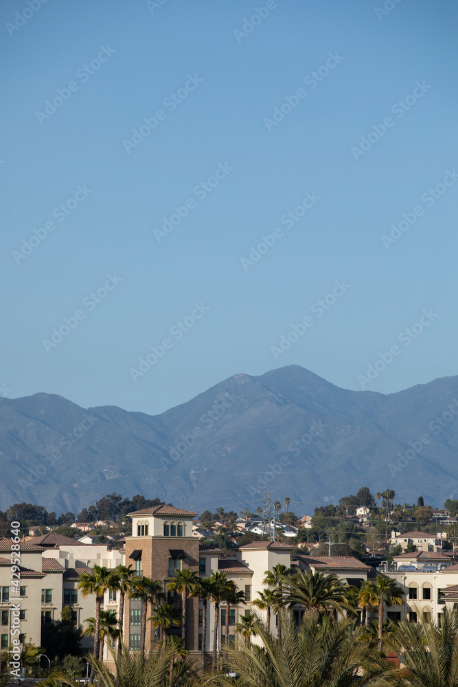 Daytime palm-framed view of the downtown skyline of Laguna Niguel, California, USA.