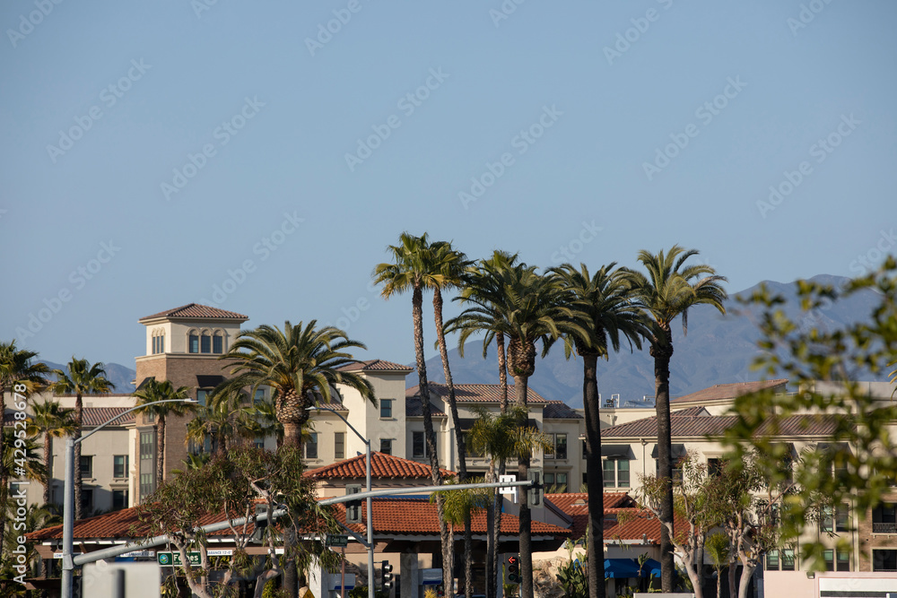 Daytime palm-framed view of the downtown skyline of Laguna Niguel, California, USA. - obrazy, fototapety, plakaty 