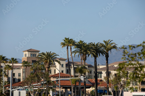 Daytime palm-framed view of the downtown skyline of Laguna Niguel  California  USA.