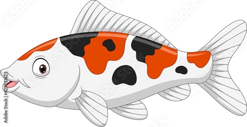 Cartoon funny koi fish on white background