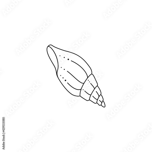 Seashell Icon in a Trendy Minimal Linear Style. Vector Illustration of a Seashell for Website, T-Shirt Print, Tattoo © Sini4ka