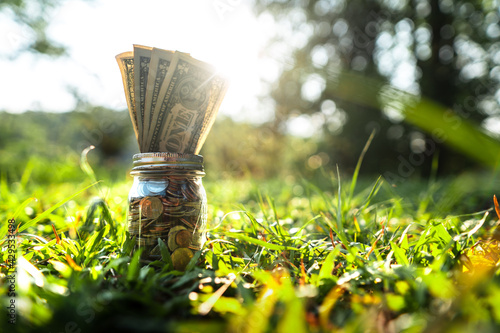 Saving money and nature Money in a jar on the grass