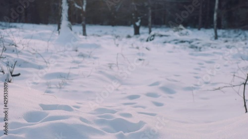 Wallpaper Mural Pan from footsteps in the snow to the sky on a cloudy day Torontodigital.ca