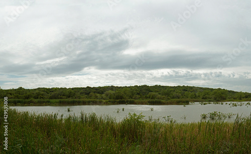 Environment preservation. Panorama view of the lake, reeds, and green forest in Pre Delta national Park in Entre Ríos, Argentina.