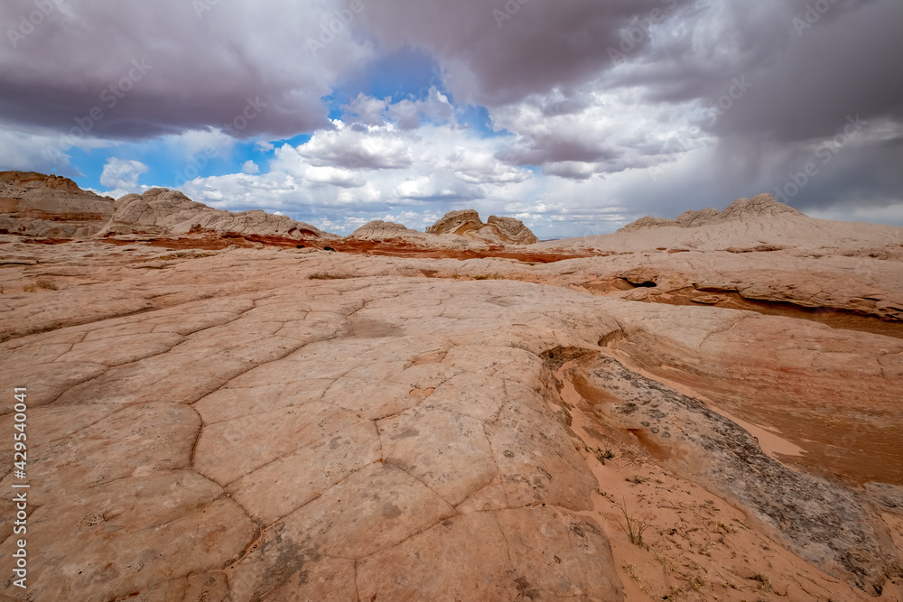 White Pocket, Arizona White Pocket, Arizona