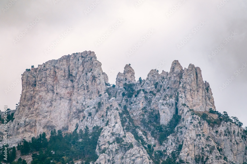 High rocky mountains with forested slopes and peaks hidden in the clouds. Ai-Petri, Crimea