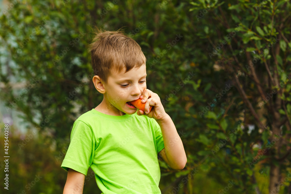 Summer and autumn activity. Young child boy eat fresh organic juicy carrot harvest in green garden outdoor. Just picked vegetable Summer and autumn activity. Young child boy eat fresh organic juicy carrot harvest in green garden outdoor. Just picked vegetable