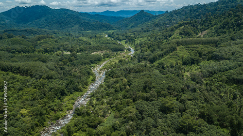 Beautiful natural scenery of rain forest and river in southeast Asia tropical green forest with mountain in background , Tropical forest of thailand.Aerial view drone shot.