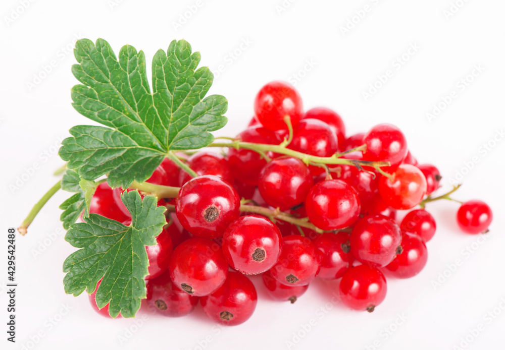 fresh ripe currant photographed closeup isolated on a white background. fresh ripe currant photographed closeup isolated on a white background.