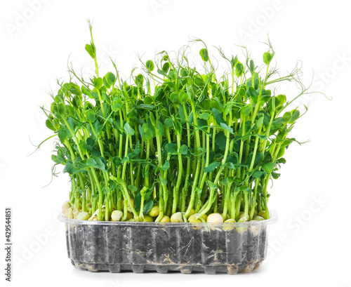Fresh peas micro green on white background