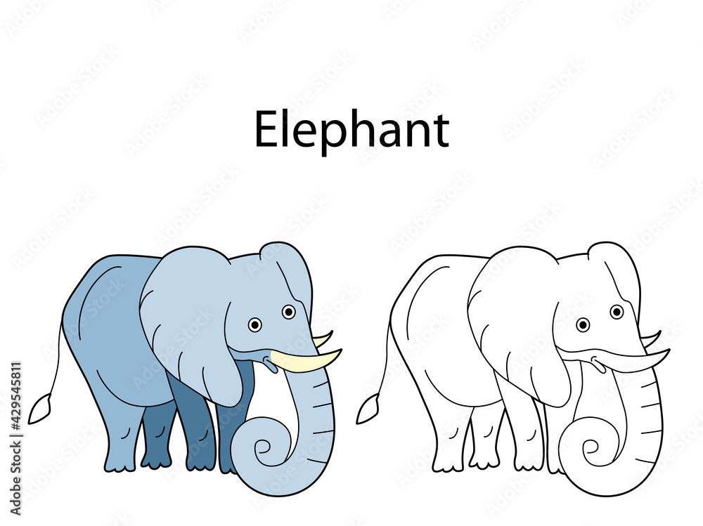 Funny cute animal elephant isolated on white background. Linear, contour, black and white and colored version. Illustration can be used for coloring book and pictures for children Funny cute animal elephant isolated on white background. Linear, contour, black and white and colored version. Illustration can be used for coloring book and pictures for children