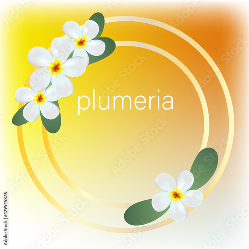 Logo designs with plumeria flowers Vector drawing works for digital works and print media.