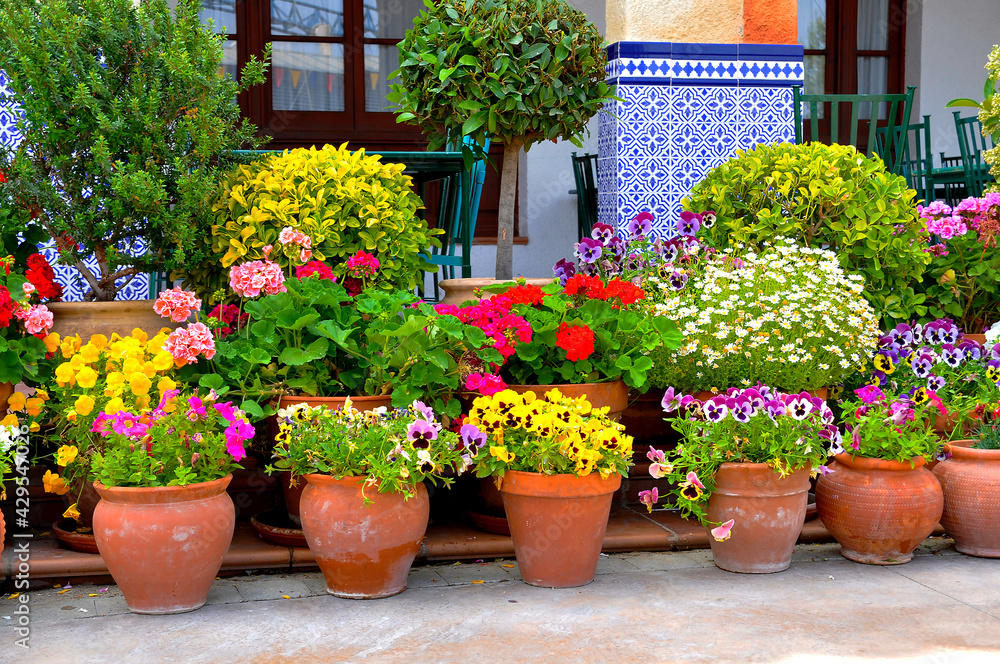Multicolored and varied flowers in pots on a city street