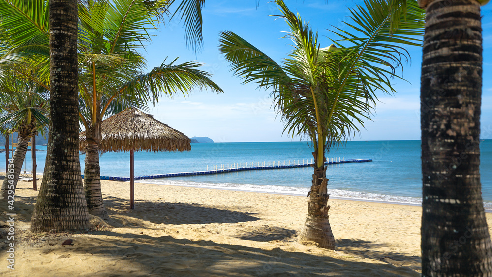 Umbrella Hut and Coconut Palm Tree on the Beach. Koa Lak, Pnag Ng, Thailand.