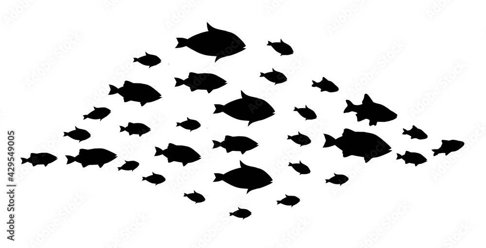 Silhouettes of groups of fishes on white Silhouettes of groups of fishes on white