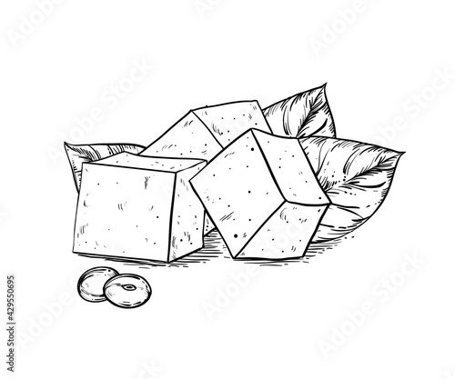 Hand drawn sketch black and white soybean, soy plant, leaf, tofu. Vector illustration. Elements in graphic style label, card, sticker, menu, package. Engraved style illustration.