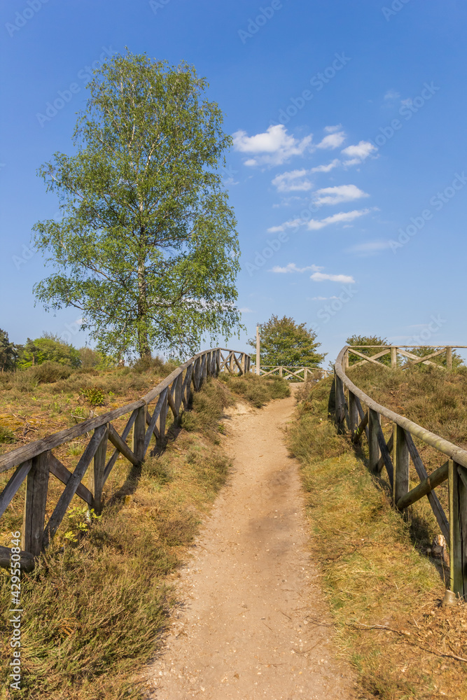 Footpath leading up to the top of the Lemelerberg hill in Overijssel