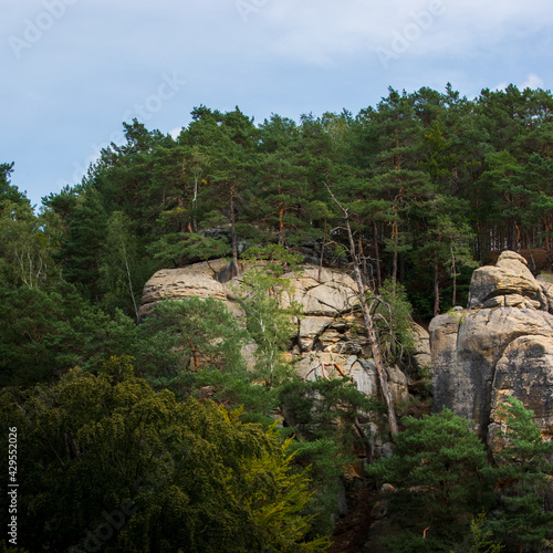 Quadro su tela Sandstone rock formation in Dubské Švýcarsko (Dauban Swiss) mountainous region i