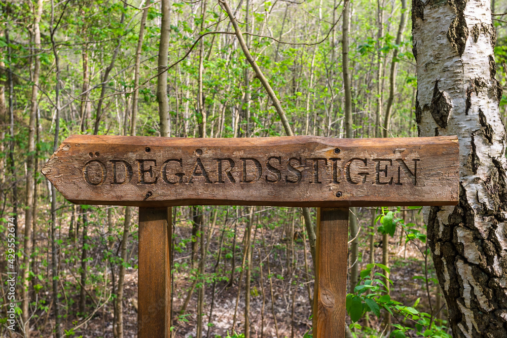 Wooden sign for a hiking trail in the forest in the spring