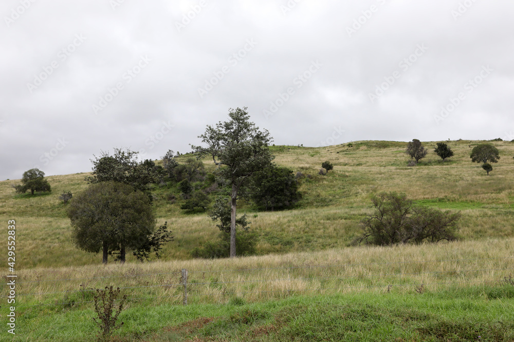 Obraz premium Views of the country town of Killarney in Queensland Australia. With rolling hills and green paddocks