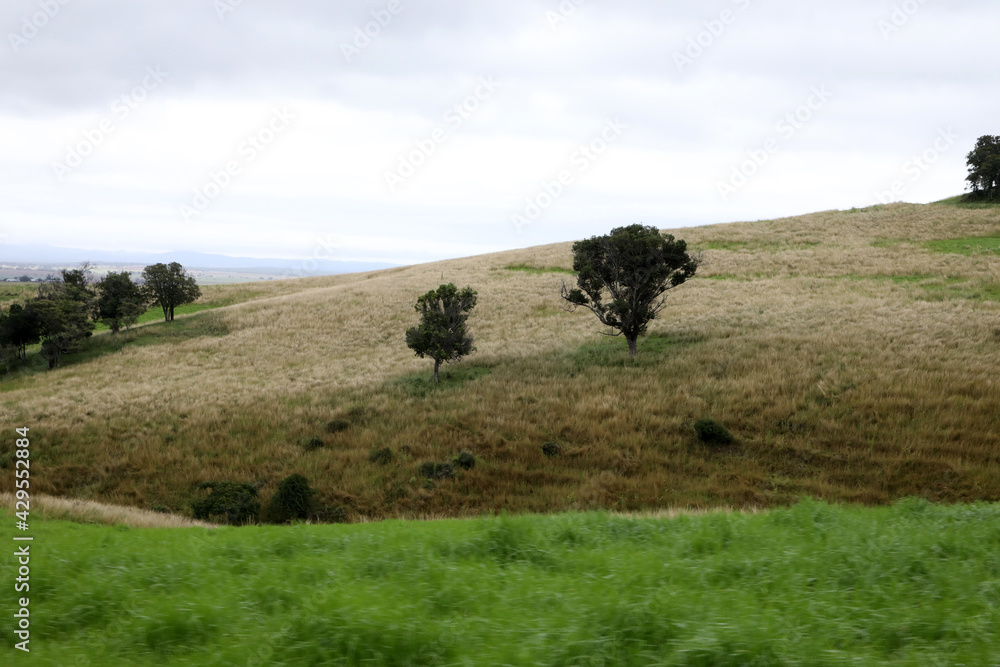 Obraz premium Views of the country town of Killarney in Queensland Australia. With rolling hills and green paddocks