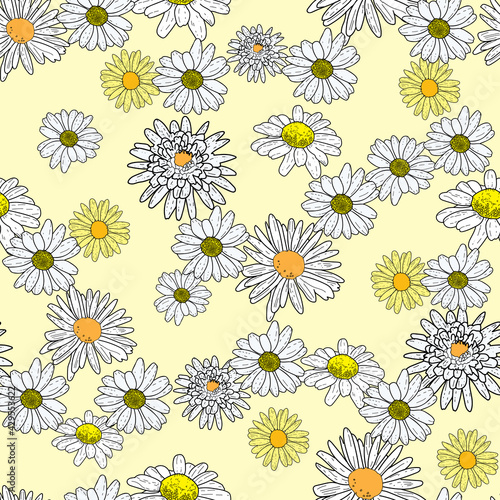 Vector yellow background daisy flowers and wild flowers. Seamless pattern background