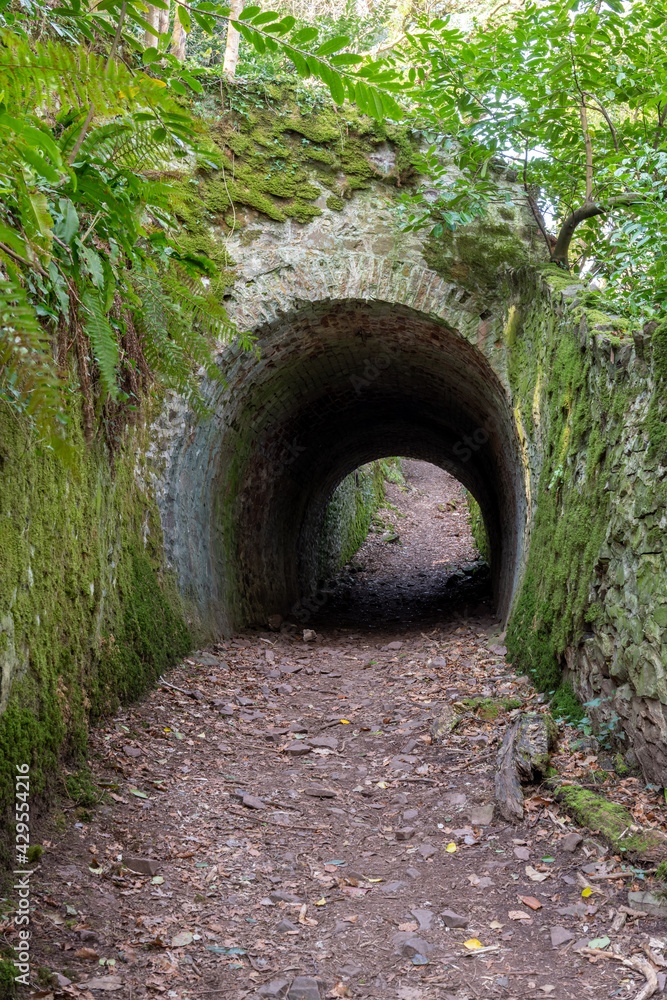 View of one of the Fairytale Tunnels on the South West coastpath from Porlock Weir to Culbone church in Somerset