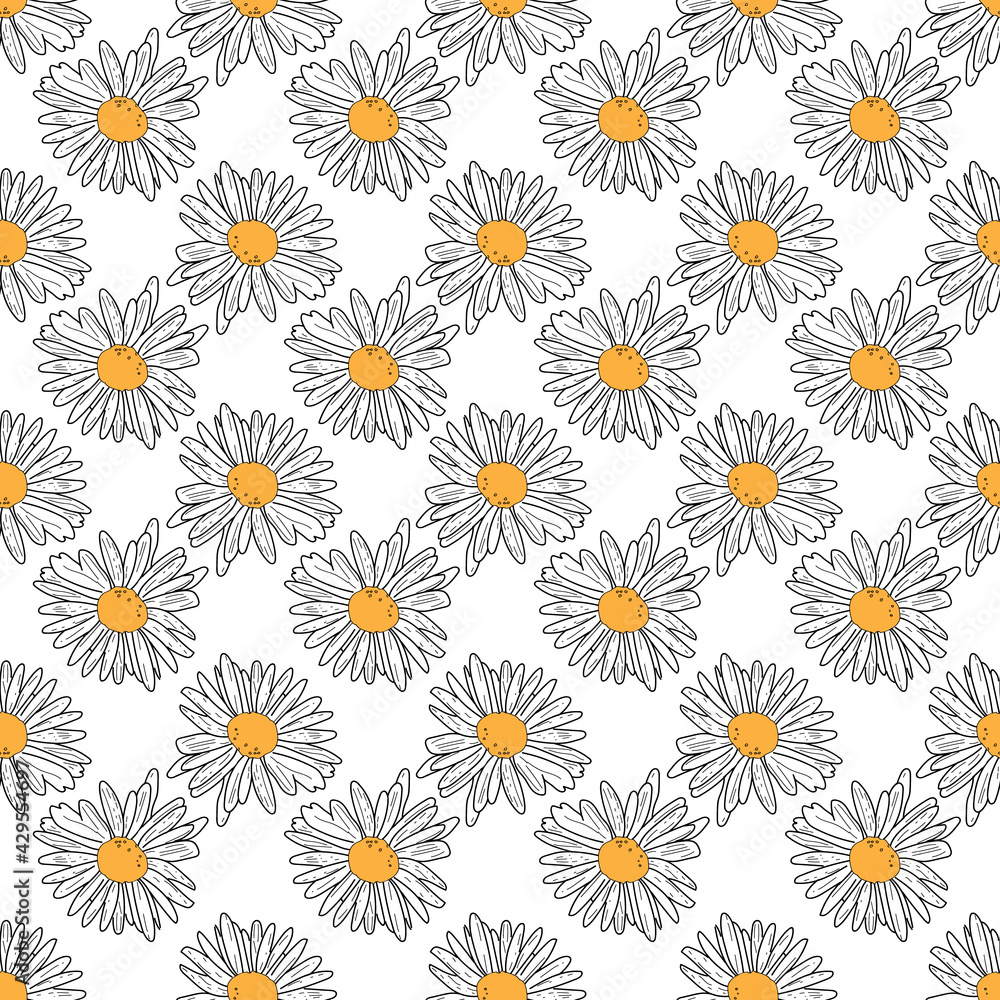 Vector white background daisy flowers and wild flowers. Seamless pattern background