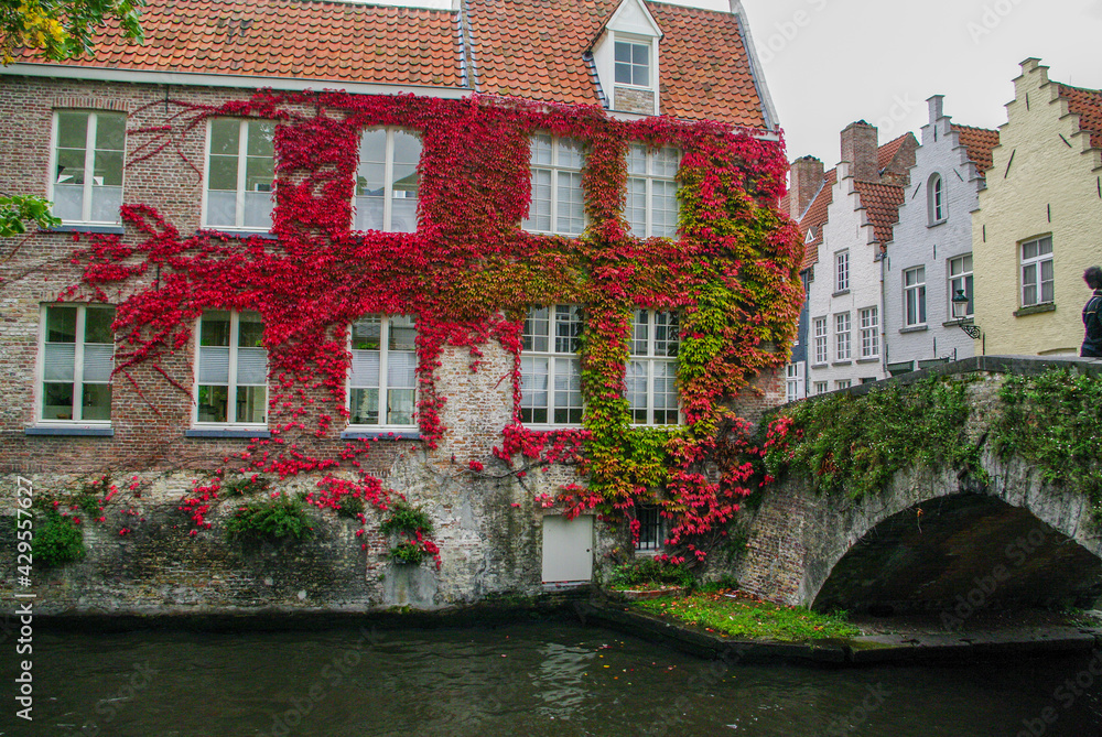 Fototapeta premium Discovering the city of Bruges in Belgium