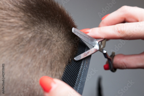 Men's haircut with scissors at the barbershop. Tool, comb, hairdresser, salon, care, work, style, salon, master